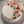 Custom Cake