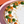 Pumpkin Pie (GF Available)